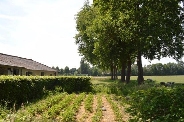 Residentie De Hoek Den Dungen Ngoại thất bức ảnh